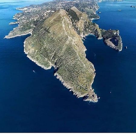 Green Apartment In Sorrento Coast ماسّا لوبْرينسِ المظهر الخارجي الصورة