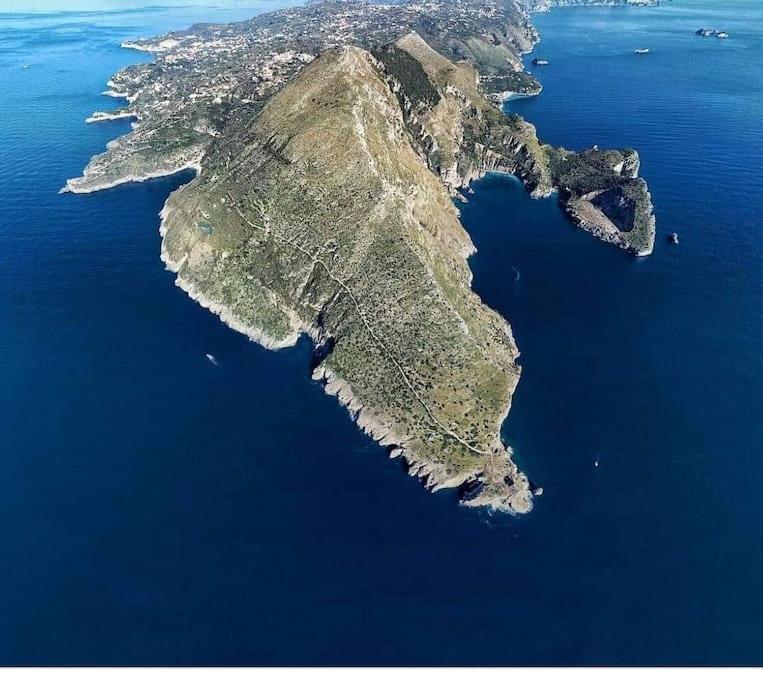 Green Apartment In Sorrento Coast ماسّا لوبْرينسِ المظهر الخارجي الصورة