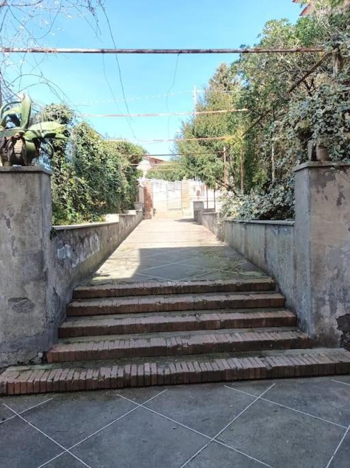 Green Apartment In Sorrento Coast ماسّا لوبْرينسِ المظهر الخارجي الصورة